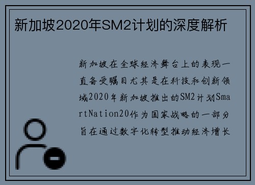 新加坡2020年SM2计划的深度解析