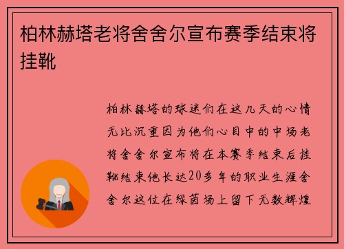 柏林赫塔老将舍舍尔宣布赛季结束将挂靴